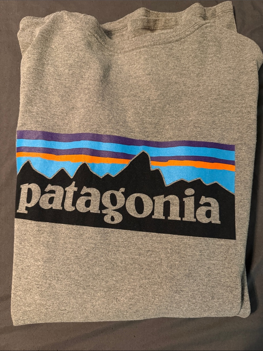 Patagonia Gray Crewneck Sweatshirt with Multicolor Mountain Logo